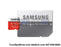 Memory Cards - 128GB EVO Plus Micro SD Card 95 MBs (SD Adapter)